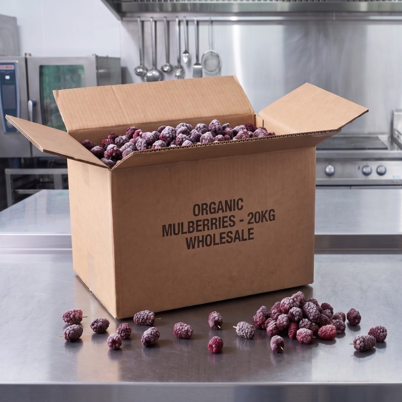 20 kg frozen wholesale carton and 4 x 5 kg packs of whole organic mulberries on a stainless bench
