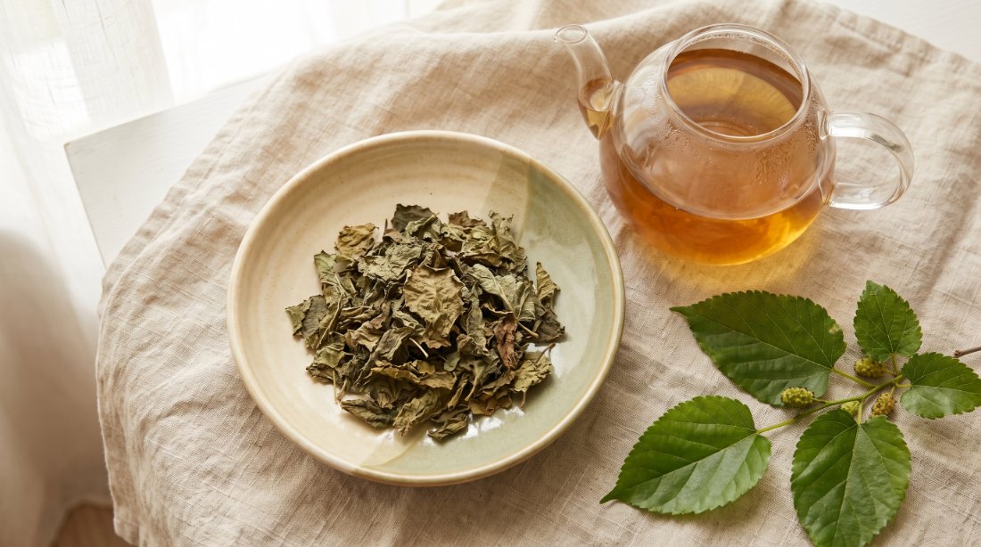 Loose-leaf organic mulberry leaf tea in a dish with a glass teapot and fresh mulberry leaves